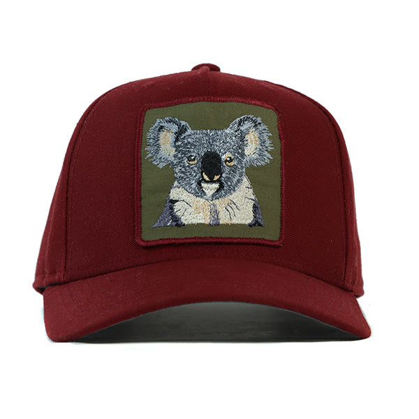 Koala hat 2024