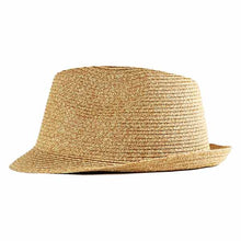 Load image into Gallery viewer, Carlisle Hats Mr Gray Nude fedora hat with wide brim and neutral color, stylish accessory for men or women.